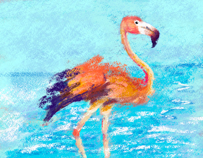 Flamingo Illustration animals digital art illustration procrreate