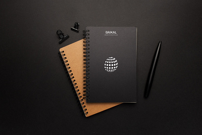 Brand Identity for "Baikal" brand branding design graphic design logo presentation