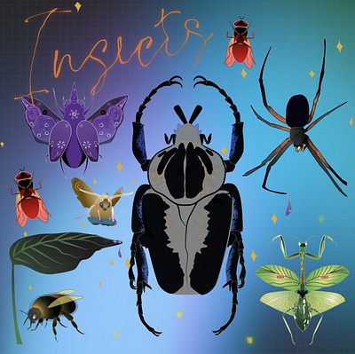 Insect collection ant assasin bug bee colorful design firefly fly graphic design illustration insects mosquito moth praying mantis scarabeus spider wheel bug