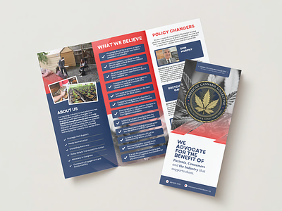 American Cannabis Collective, Organization Brochure v1 branding brochure cannabis dc design graphic design logo marijuana political politics print print design washington dc weed