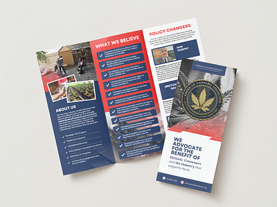 American Cannabis Collective, Organization Brochure v1 branding brochure cannabis dc design graphic design logo marijuana political politics print print design washington dc weed