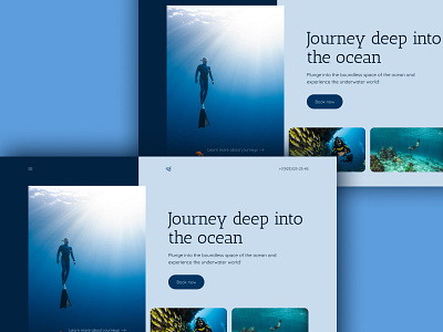 Concept for Diving #2 concept design dive diving homepage ui webdesign