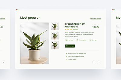 Plant delivery website—Snake plant branding design figma graphic design landing page product design ui ui ux design ux web design website website design