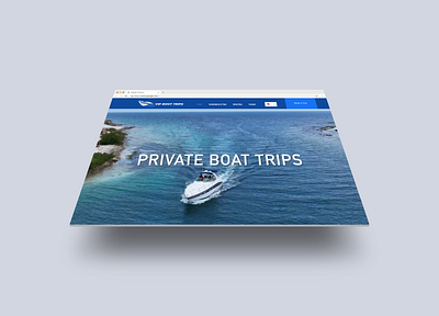 VIP Boat Trips - Website Design branding business design freelance graphic design mockup website website building website design wix wix pro