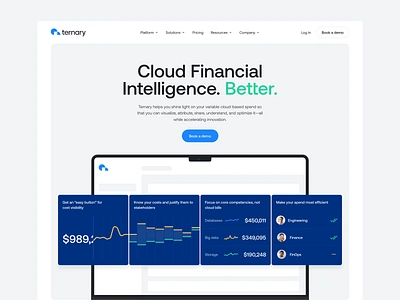 Ternary - Website Launch! branding clean cloud dashboard design development logo product design product visuals technology ui user research ux visual identity web design website