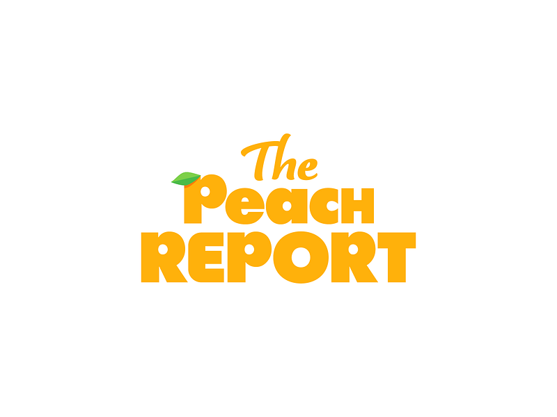 Peach Report Logo Design Proposal brand identity branding custom design fresh fruit fun happy leaf logo mihai dolganiuc millenials natural orange peach show tv type typography wordmark