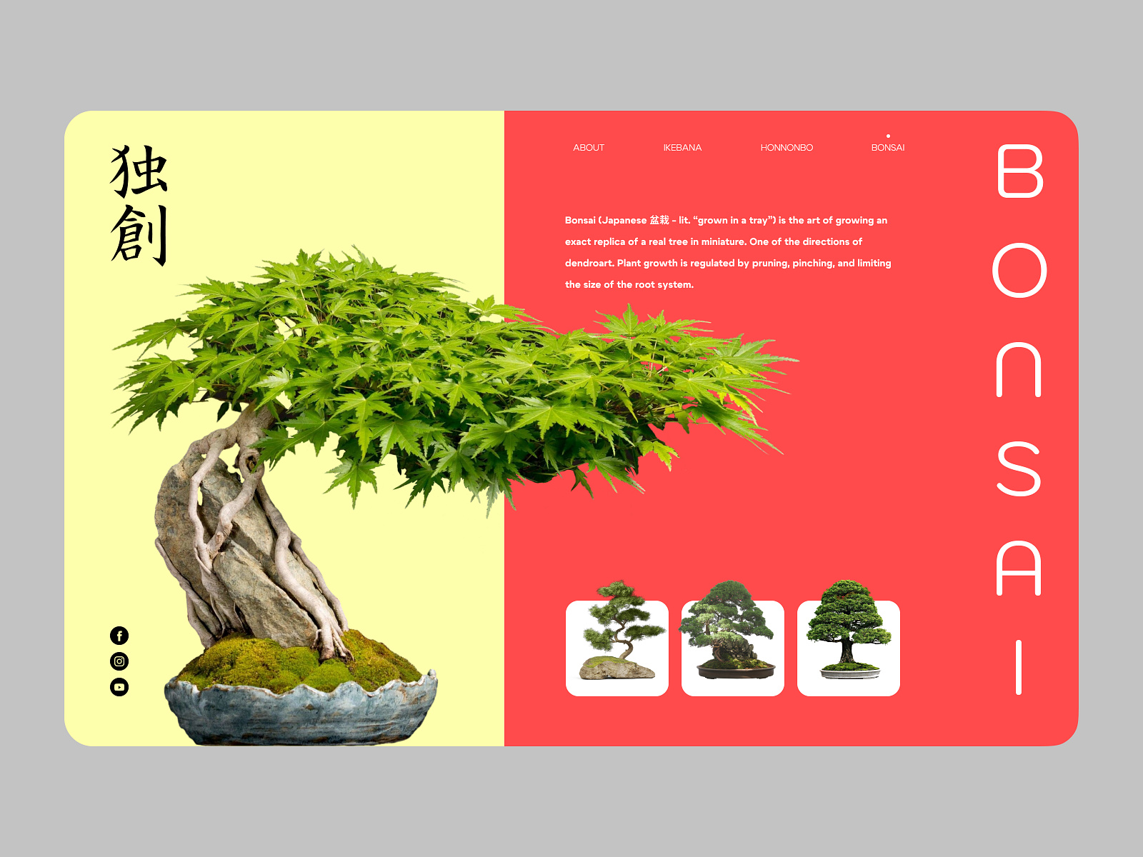 Bonsai by Aleksey Kostiuk on Dribbble