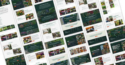 Digital Designs: Crafting the Web of Tomorrow branding responsive design website design