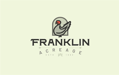 Franklin Acreage Branding app branding design graphic design illustration logo typography ui ux vector
