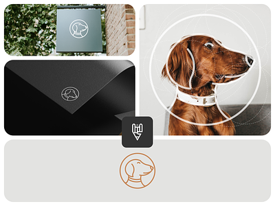 Dog Logo Design app branding design dog doglogo flat goldenratio graphic design gridlogo icon illustration line art logo ui vector