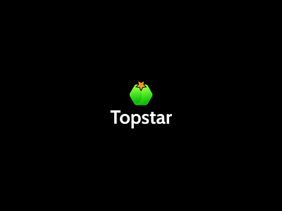 Topstar modern logo design| star mark| heaxgon business logo creative custom design hexagon icon design logo logo creator logo design logo designer logo idea logo maker logofolio minimalist modern polygon star mark unique unique logo vector