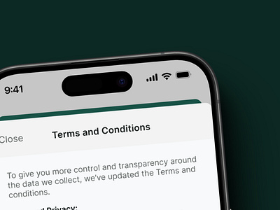 Daily UI - Terms and Conditions app daily ui design minimal terms and conditions ui ux