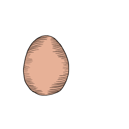 Egg mushroom illustration adobe fresco conceptual illustration digital digital illustration drawing egg breaking gif illustrated gif illustration milk crust mushrooms odd odd illustration quirky quirky illustration silly silly illustration weird weird illustration yolk