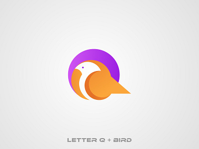 Letter Q Bird Logo bird logo brand identity brandforma branding colorful logo crypto finance graphic design letter q logo logo design logo designer modern logo online payment q logo web logo