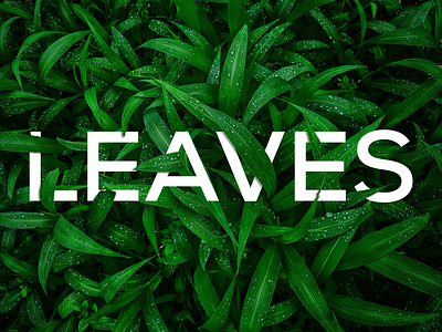 Leaves Text Effect best design brand brand identity branding design effect graphic graphic design green green leaves illustrator leaf leaves light green nature nature leaf photoshop text text effect vect plus