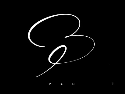 Logo 021 / Signature Logo / P + B branding calligraphy design graphic design icon illustration logo vector