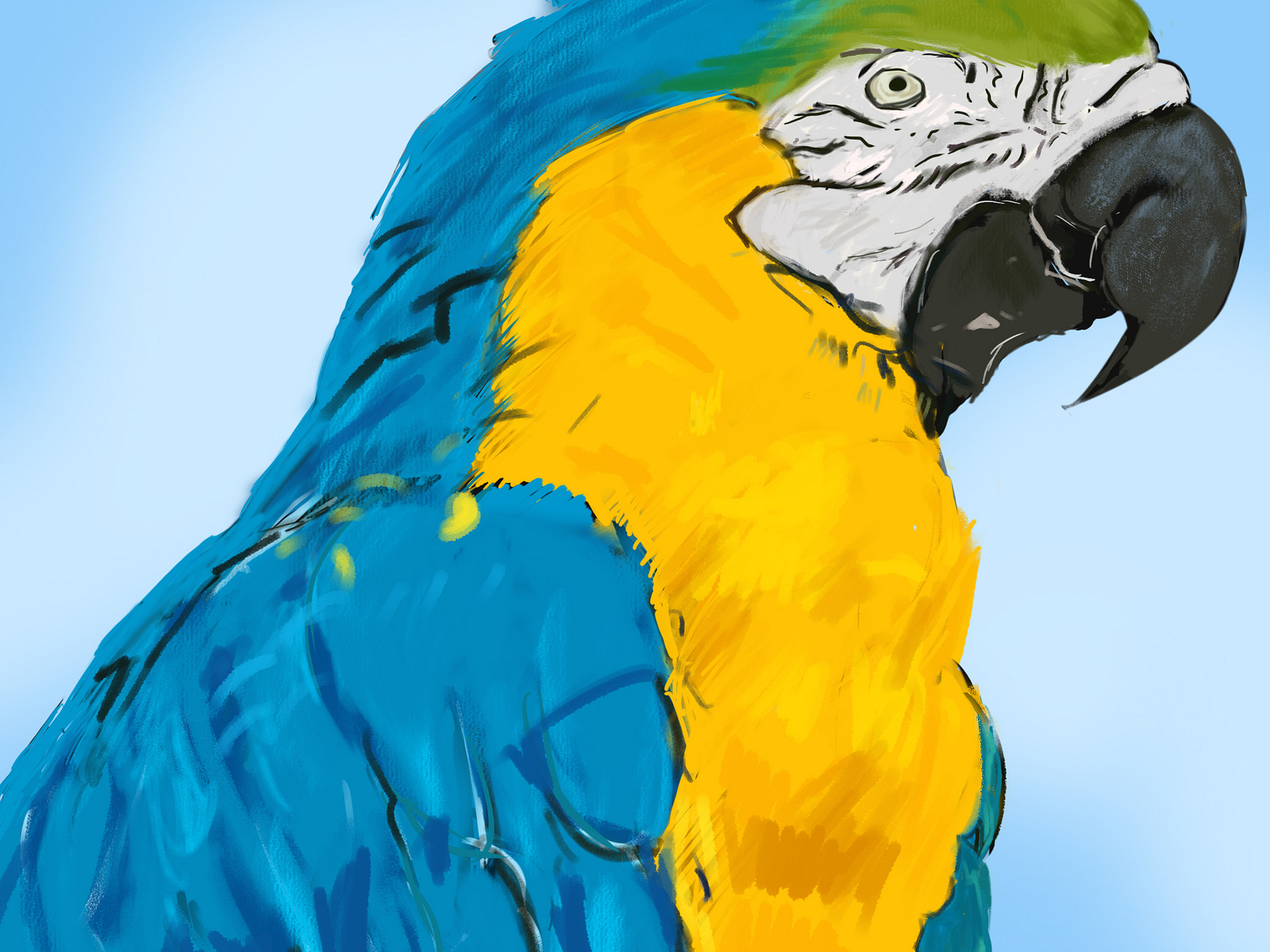 digital-paint-by-payal-dutta-choudhury-on-dribbble