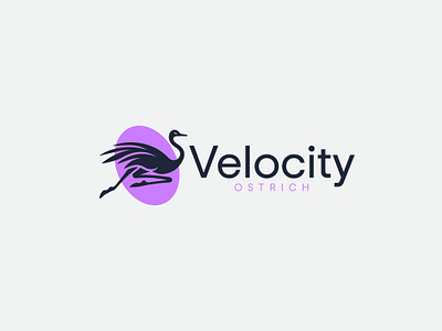 Velocity Ostrich Logo Design animal logo bird logo branding graphic design logo design modern logo ostrich ostrich logo uique logo