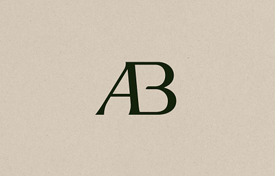 Anja Brandes Photography Brand Identity Initials a b a nd b ab brand identity branding branding and identity design germany graphic design hamburg initials logo typography
