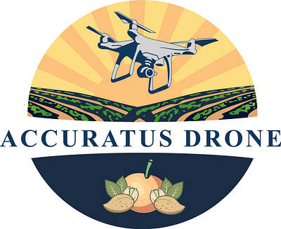 Drone Logo design drone graphic design illustration logo vector
