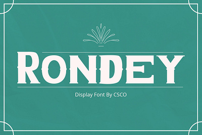 Rondey Font - Craft Supply Co brush creative design elegant font illustration lettering logo typeface ui