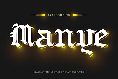 Manye Font - Craft Supply Co brush creative design elegant font illustration lettering logo typeface ui
