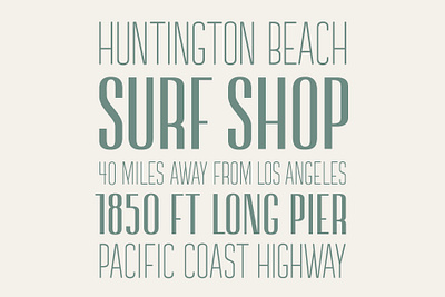Buy Surf Shop — 3 fonts // $28! beach california design font graphic design lettering letters los angeles pier sans sans serif sans serif font serif surf shop surfing type type design typography west coast