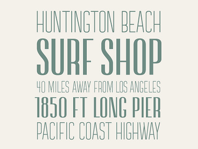 Buy Surf Shop — 3 fonts // $28! beach california design font graphic design lettering letters los angeles pier sans sans serif sans serif font serif surf shop surfing type type design typography west coast