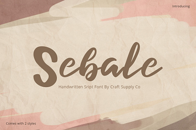 Sebale Font - Craft Supply Co brush creative design elegant font illustration lettering logo typeface ui