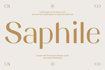 Saphile Font - Craft Supply Co brush creative design elegant font illustration lettering logo typeface ui