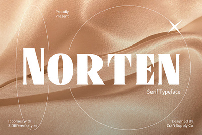 Norten Font - Craft Supply Co brush creative design elegant font illustration lettering logo typeface ui