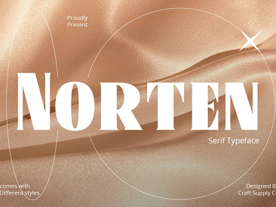 Norten Font - Craft Supply Co brush creative design elegant font illustration lettering logo typeface ui
