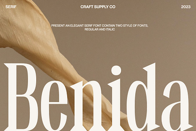 Benida Font - Craft Supply Co brush creative design elegant font illustration lettering logo typeface ui