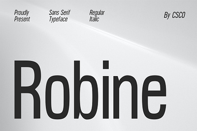 Robine Font - Craft Supply Co brush creative design elegant font illustration lettering logo typeface ui