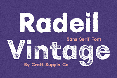 Radeil Font - Craft Supply Co brush creative design elegant font illustration lettering logo typeface ui