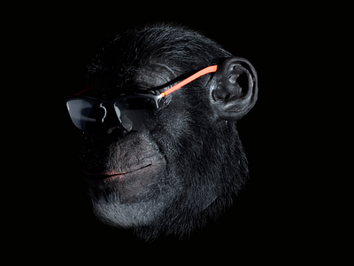 #179 Monkey / Blender 3D, Sculpting animal black blender character glasses hair jungle model monkey sculpting wild zoo