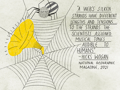 Spider, web and music illustration illustrator music spider spiderweb
