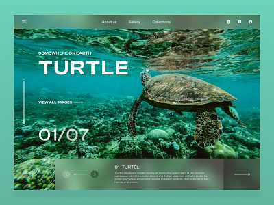 Earth Animal - UI Concept design figma figma design figma designer landing page design typography ui ui inspiration ux ux inspiration web web design website design