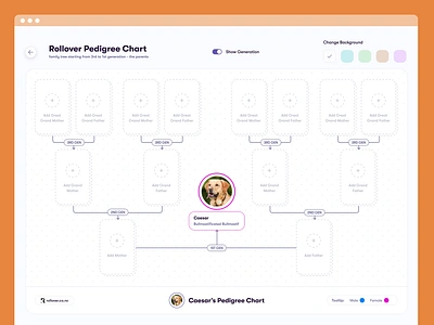 Empty Fields | Pedigree Chart for Rollover 🔥💫 3d animation branding logo motion graphics ui