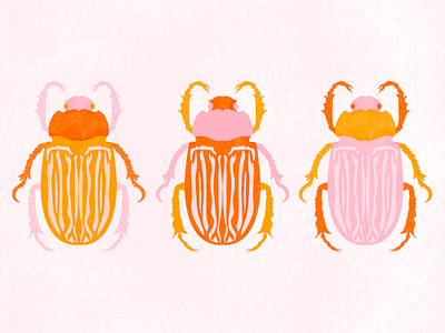 Three beetle boiz digital painting graphic design illustration illustrator risograph