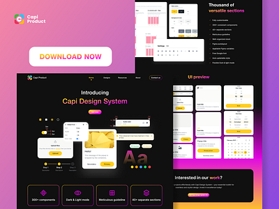 Design System - Dark mode &Magenta Color Concept app component system darkmode design design system landing page magenta color ui web web design website design