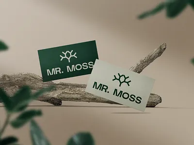 Mr. Moss logo design branding design graphic design illustration logo typography vector