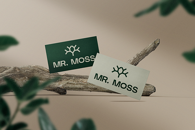 Mr. Moss logo design branding design graphic design illustration logo typography vector