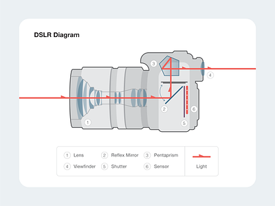 DSLR Camera Diagram camera design diagram dslr graphic design illustration infographic photography vector