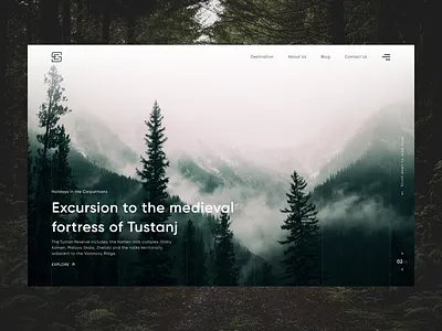 Travel Agency Website branding design graphic design landing tour travel ui ukraine ux web design