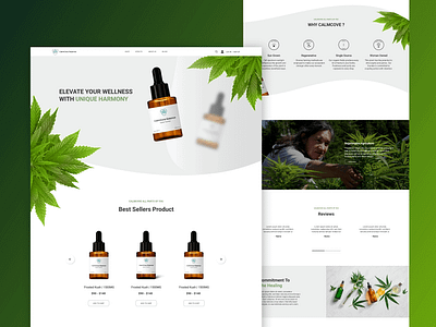 CalmCove Essence branding design graphic design logo ui web design