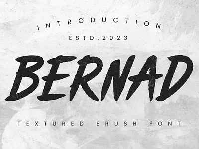 Textured Brush Font font