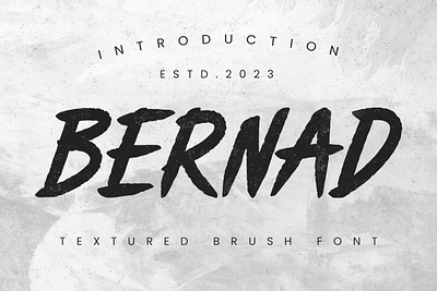 Textured Brush Font font