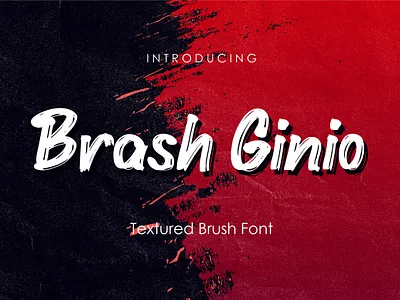 Brash Ginio - Textured Brush Font font