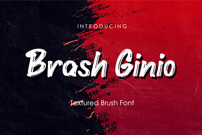 Brash Ginio - Textured Brush Font font
